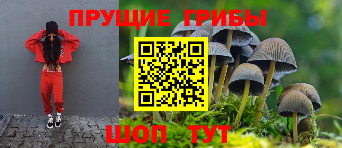 Галлюциногенные грибы ЛСД  купить   Вход с VPN  Вольск  Галлюциногенные грибы Magic Shrooms 